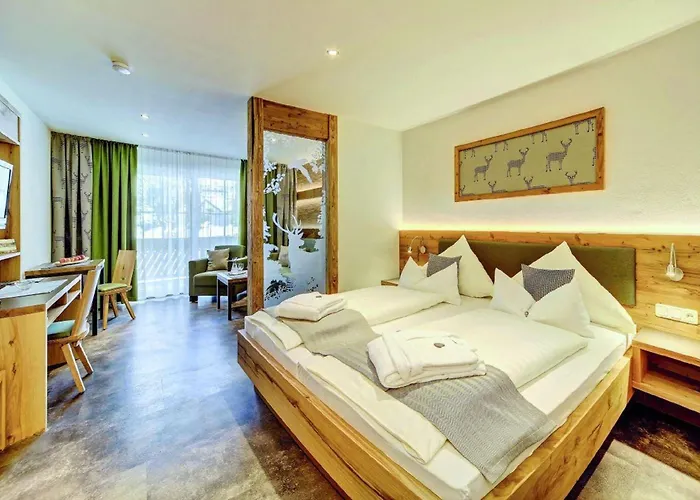 Appart-hotel Wildererstuben Apartahotel Bodenmais