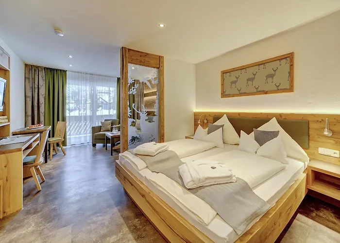 Appart-hotel Wildererstuben Apartahotel Bodenmais